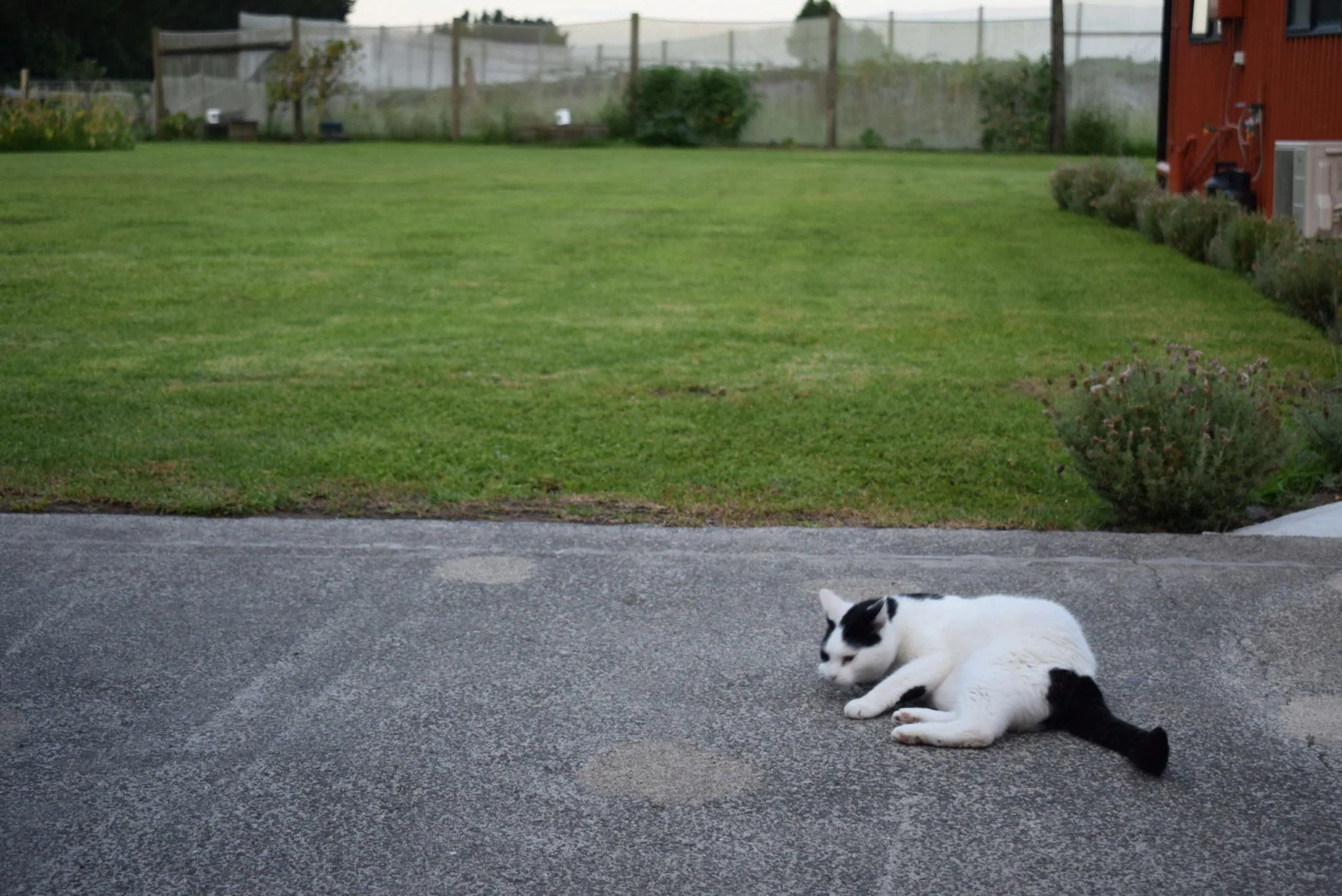 A28 marshall venturing further afield 28 jan 2018 (2)